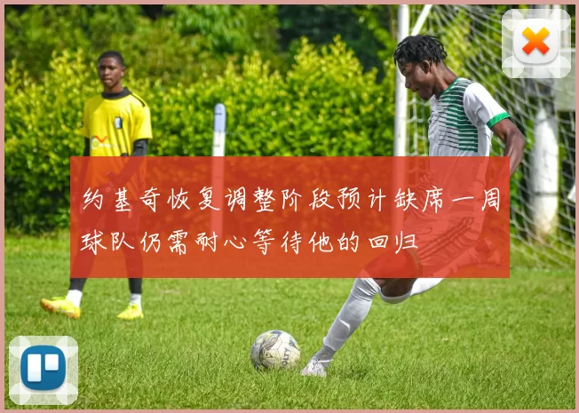 约基奇恢复调整阶段预计缺席一周球队仍需耐心等待他的回归